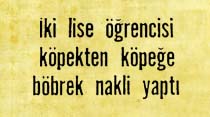 İki lise öğrencisi köpekten köpeğe böbrek nakli yaptı
