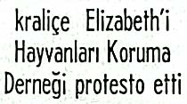 Atlarını kasaplara satan kraliçe Elizabeth'i Hayvanları Koruma Derneği protesto etti