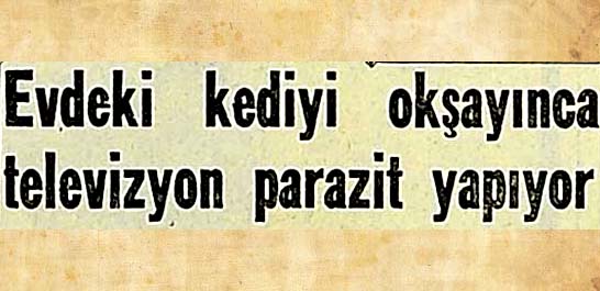 Evdeki kediyi okşayınca televizyon parazit yapıyor