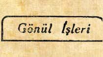 G&ouml;n&uuml;l İşleri: Şimdi Ben Ne Yapayım?
