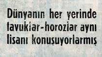 D&uuml;nyanın her yerinde tavuklar-horozlar aynı lisanı konuşuyorlarmış