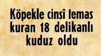 K&ouml;pekle cinsi temas kuran 18 delikanlı kuduz oldu
