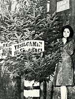 Yeşil&ccedil;am'a &ccedil;am ağacı