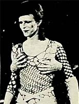 H&ouml;t&ouml; bozuntusu Bowie