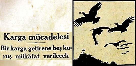 Karga m&uuml;cadelesi