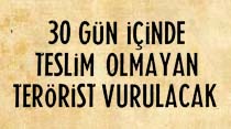 30 g&uuml;n i&ccedil;inde teslim olmayan ter&ouml;rist vurulacak