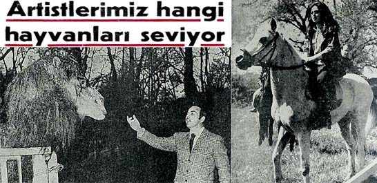 Artistlerimiz hangi hayvanları seviyor