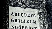 Reisicumhur Hz. ne meclisin takdim ettiği lavha