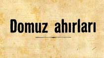 Domuz ahırları şehrin içinden maslak yoluna kaldırıldı