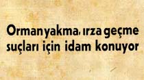 Orman yakma, ırza geçme suçları için idam konuyor