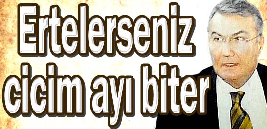 Ertelerseniz cicim ayı biter