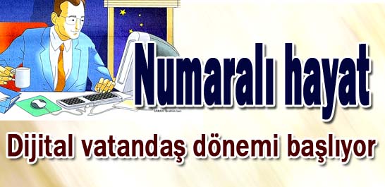 Numaralı hayat