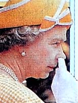 Krali&ccedil;e fena yakalandı