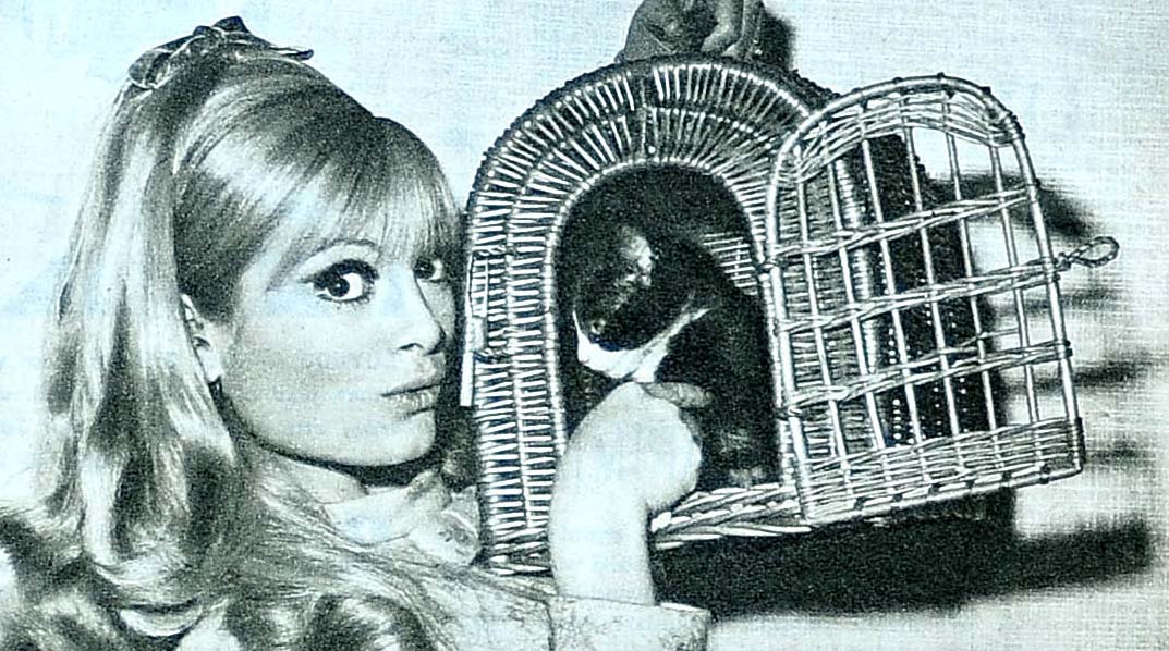 Benim Kedim Bir Yaşında