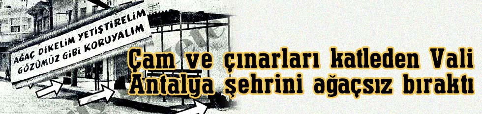 Çam ve çınarları katleden Vali Antalya şehrini ağaçsız bıraktı