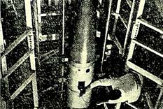 D&uuml;nya 10 sene i&ccedil;inde k&uuml;l olabilir