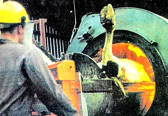 Deli dana AIDS'ı solladı