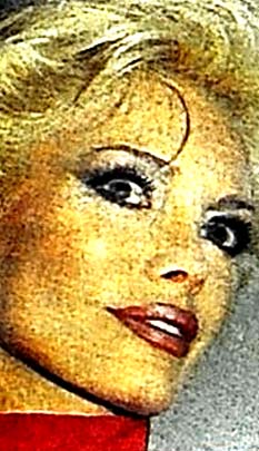 Polis Ajda'yı arıyor