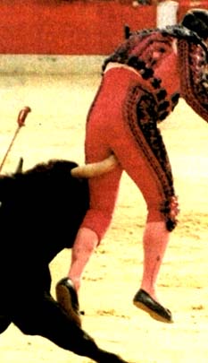 Yılın fotoğrafları